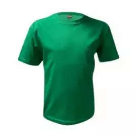 CAMISETA BASICA - VERDE BANDEIRA