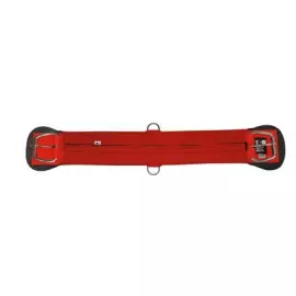 barrigueira vermelha